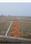 Tappal Main Image 1