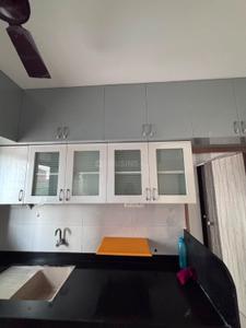 Kitchen Image of 850 Sq.ft 1 BHK Apartment / Flat for rent in Avalon Avenue, Tathawade Pune for Rs. 23500