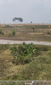 Image of 1360 Sq.ft Residential Plot / Land for sale in Chandauti, Gaya for Rs. 775000
