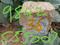 Land Main Image 1