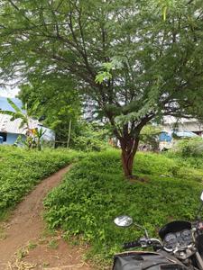 Image of 1050 Sq.ft Residential Plot / Land for sale in Ramalingapuram, Salem for Rs. 1500000