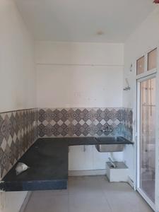Kitchen Image of 740 Sq.ft 3 BHK Apartment / Flat for rent in Signature Global Golf Green, Sector 79 Gurgaon for Rs. 12000