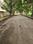 Eastwood Township, Harlur Main Image 1