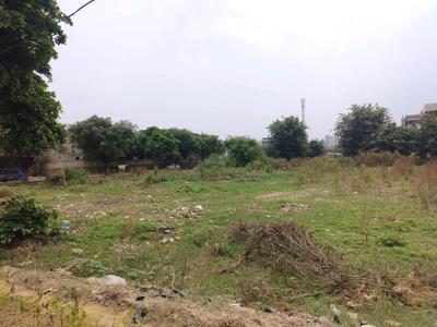 Sector 17A Plot View 1