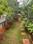 Siddhartha Layout Main Image 1