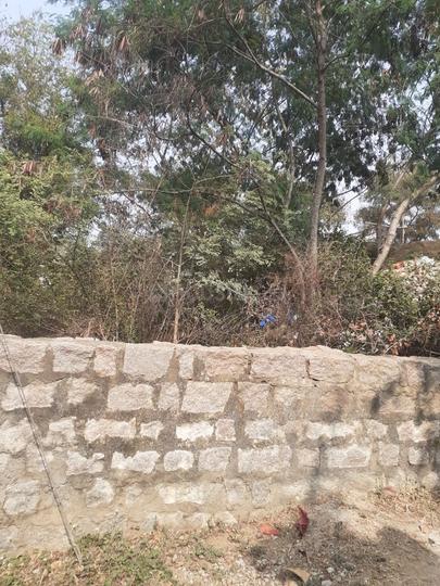 ROYAL RAJPUTANA CO Main Image 1