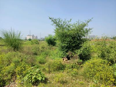 Image of 900 Sq.ft Residential Plot / Land for sale in Bhanauta, Greater Noida for Rs. 3501800