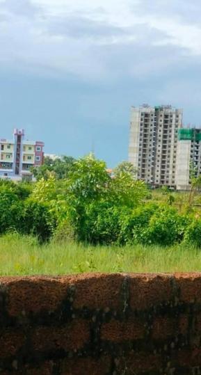 Patrapada Main Image 1