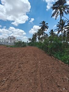 Samethanahalli Plot View 1