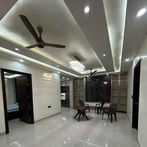 Hall Image of comfort n stay in Sector 39, Gurgaon
