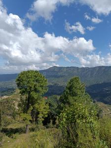 Image of 6450 Sq.ft Residential Plot / Land for sale in Mukteshwar, Nainital for Rs. 2700000