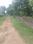 Peramangalam Plot View 2