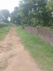 Peramangalam Plot View 2