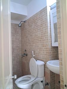 Common Bathroom Image of 1410 Sq.ft 3 BHK Apartment / Flat for sale in Paras Tierea, Sector 137 Noida for Rs. 12600000