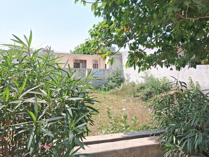 Jaypee Aman Main Image 1