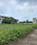 Scheme No 140 Plot View 2