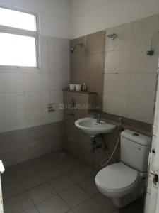 Bathroom Image of 2350 Sq.ft 3 BHK Apartment / Flat for rent in Stellar Jeevan, Noida Extension Greater Noida for Rs. 23000