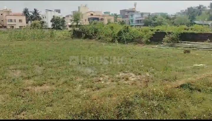 Jagamara Main Image 1