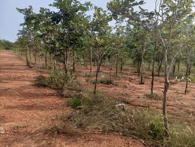Image of 200 Sq.ft Residential Plot / Land for sale in Kothavalasa, Visakhapatnam for Rs. 1300000