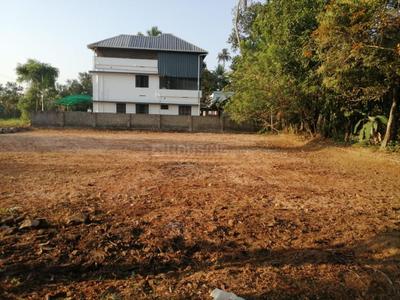 Panayikulam Plot View 2