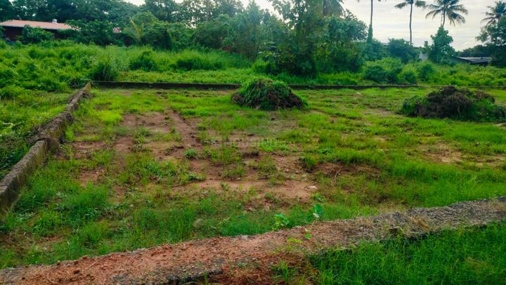 keralarealty Main Image 1