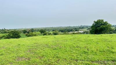 Image of 2800 Sq.ft Residential Plot / Land for sale in Harsola, Indore for Rs. 1960000