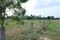 Kumizhi, Nallambakkam Plot View 2