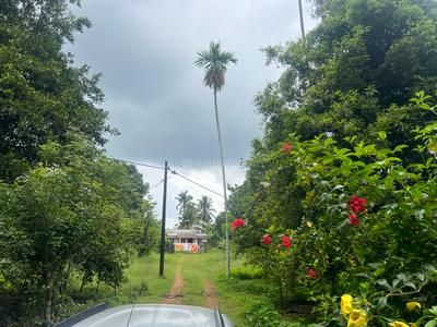 Angamaly Plot View 3