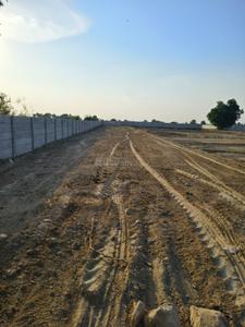 Dankaur Plot View 3
