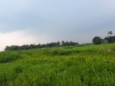 Image of 720 Sq.ft Residential Plot / Land for sale in Nest Valley, Joka, Kolkata for Rs. 222222