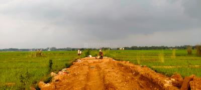Residential Plot
