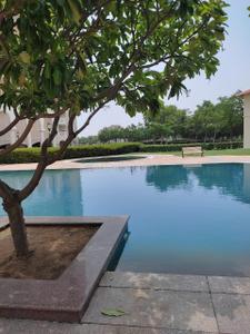 Image of 1685 Sq.ft 3 BHK Apartment / Flat for sale in DLF New Town Heights, Sector 91, Gurgaon for Rs. 21000000