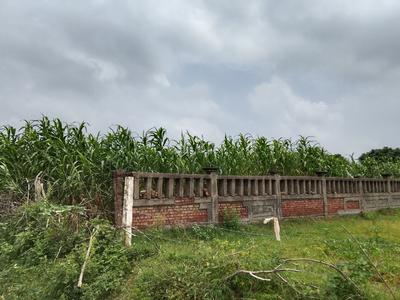 Image of 320 Sq.ft Residential Plot / Land for sale in XU III, Greater Noida for Rs. 25600000
