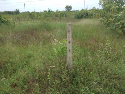 Jagannathprasad Plot View 1