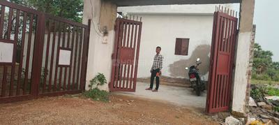 Dimna Plot View 2