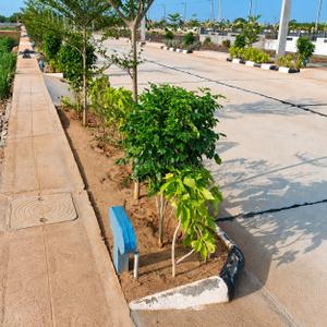 Image of 167 Sq.ft Residential Plot / Land for sale in Kesarapalle, Vijayawada for Rs. 3177000