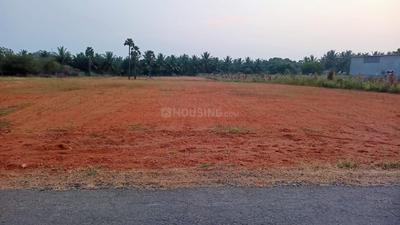 Residential Vacant Land More Images 2