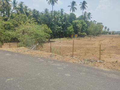 Image of 10000 Sq.ft Residential Plot / Land for sale in Srirangam, Tiruchirappalli for Rs. 16000000
