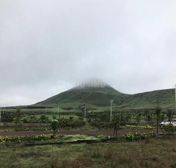 Vilholi Main Image 1