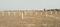Kundrathur Plot View 2
