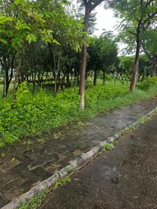 Image of 1264 Sq.ft Residential Plot / Land for sale in DLF Gardencity, Manglia, Indore for Rs. 5680000