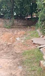Phase 2 Plot View 2