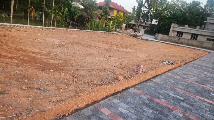 Kunnathery Thikavu, Aluva Main Image 1