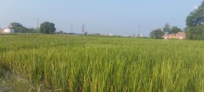 Image of 2720 Sq.ft Residential Plot / Land for sale in Kandwa, Varanasi for Rs. 3600000