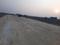 The Ridge Plot View 2