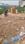 Lekha nagar mangal market Main Image 1
