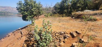 Image of 22500 Sq.ft Residential Plot / Land for sale in Panshet, Pune for Rs. 13500000