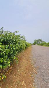 Image of 10000 Sq.ft Residential Plot / Land for sale in Datrenga, Raipur for Rs. 7000000