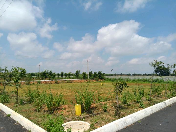 MS Developers Main Image 1