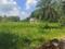 Diamond Park, Joka Main Image 1